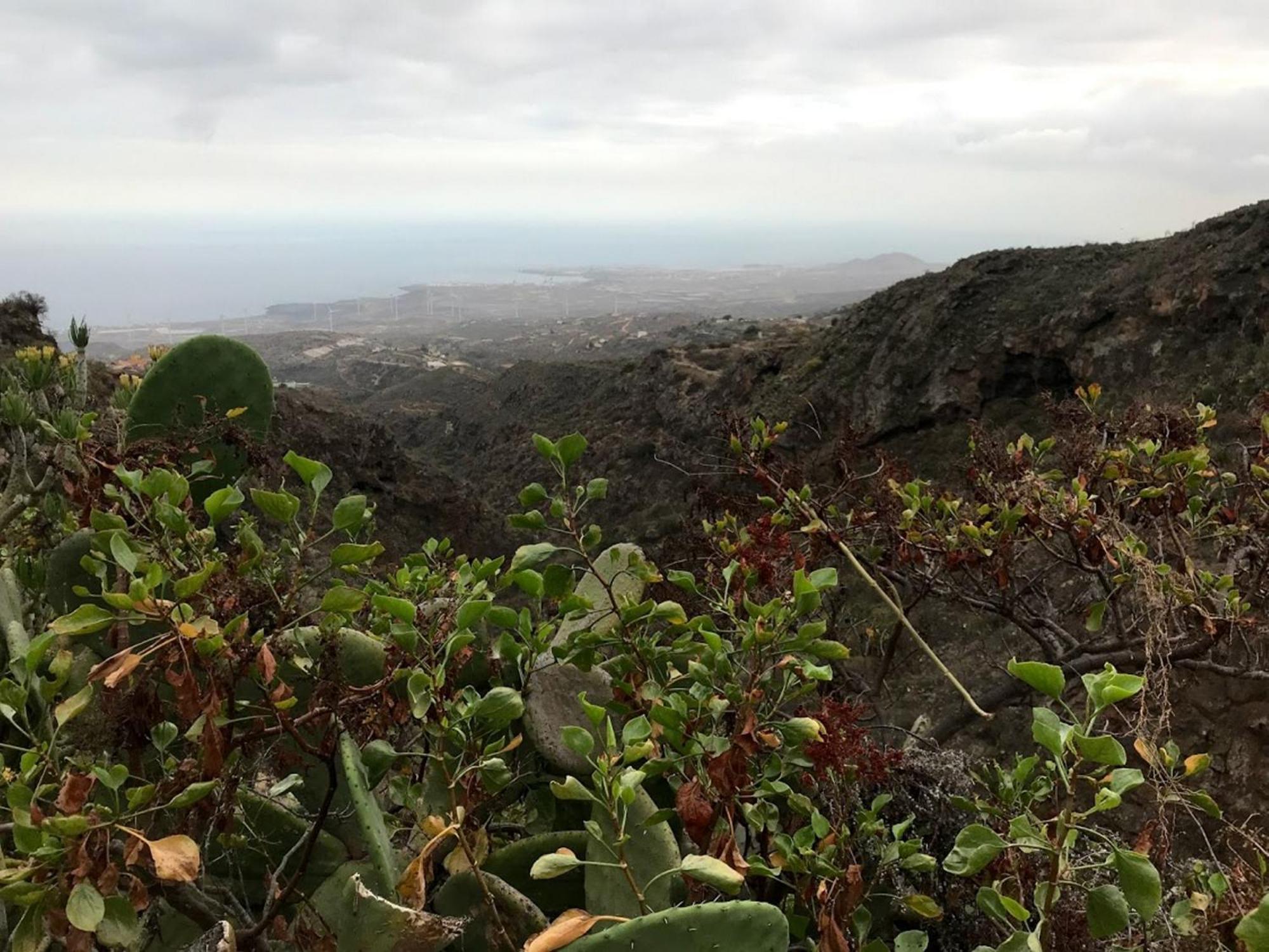 Finca Las Polinarias Casa Cueva En Fasnia Santa Cruz de Tenerife Buitenkant foto